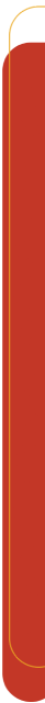 Thinsol logo